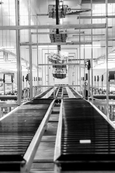 pexels frans van heerden 201846 13974251